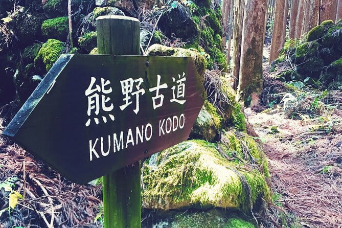 Kumano Kodo Pilgrimage Tour With Licensed Guide & Vehicle - Highlights of the Experience