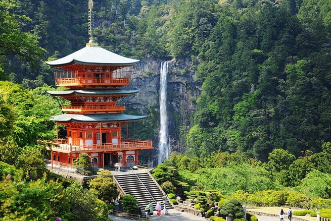 Kumano Kodo Pilgrimage Tour With Licensed Guide & Vehicle - Weather Adaptability
