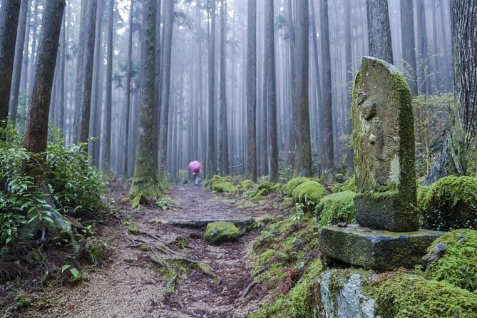 Kumano Kodo Pilgrimage Tour With Licensed Guide & Vehicle - Cancellation and Booking