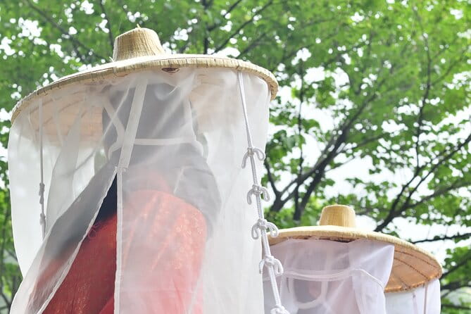 Kumano Kodo Pilgrimage Tour With Licensed Guide & Vehicle - Why Choose This Tour