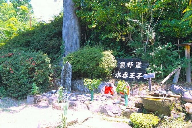 Kumanokodo 1 Day Walking Tour - Health and Accessibility Considerations