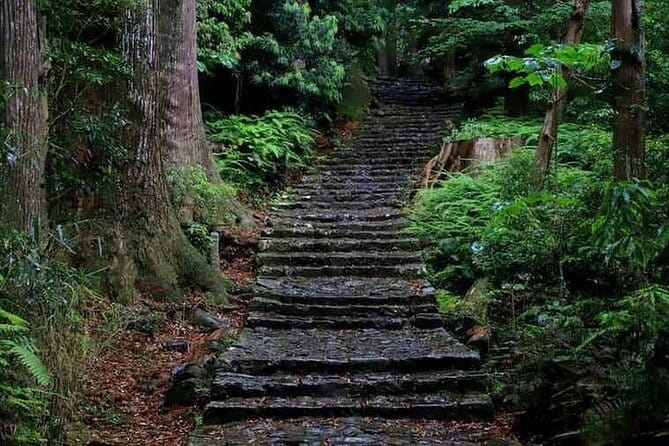 Kumanokodo 2 Day Walking Tour From Osaka - Luggage Policy for Travelers