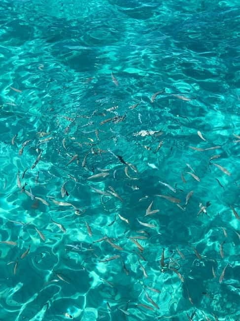 Kusadasi: Aegean Sea Boat Tour with Lunch - Kusadasi: Aegean Sea Boat Tour with Lunch — An Authentic Day on the Water