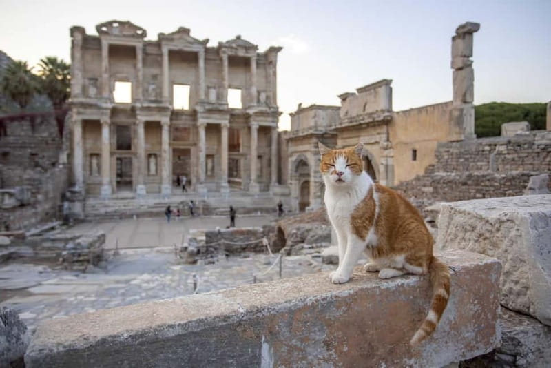 Kusadasi: Ephesus, Virgin Mary House & Artemis Temple Tour - Key points / Takeaways