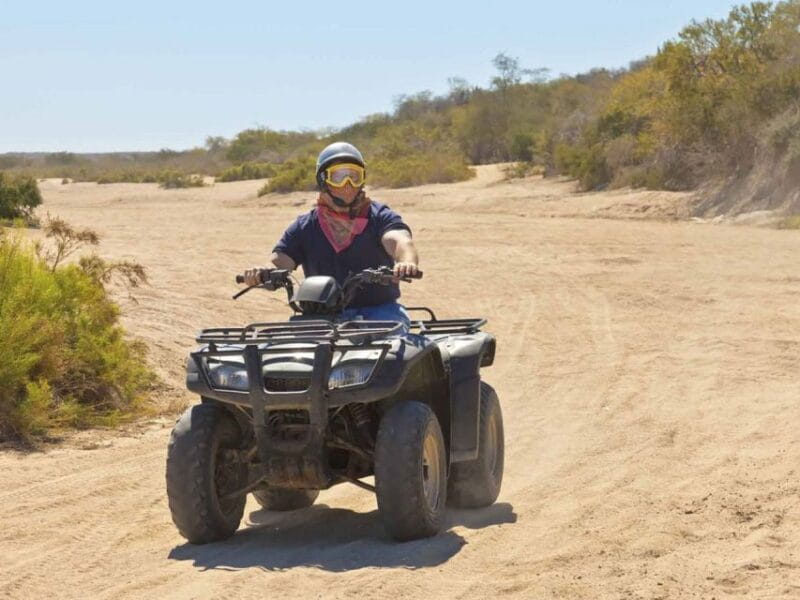 Kusadasi: Guided Quad Biking Tour - Price, Logistics, and Practical Tips