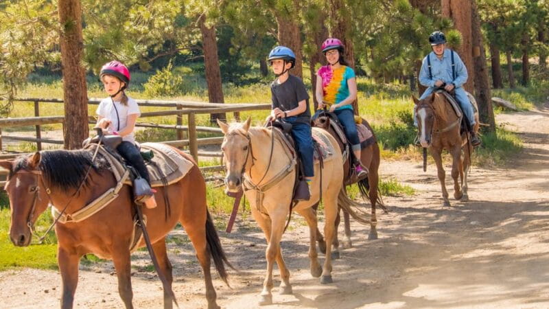 Kusadasi: Horse Riding Beach and Forest w/Transfer - Who Should Book This Experience?