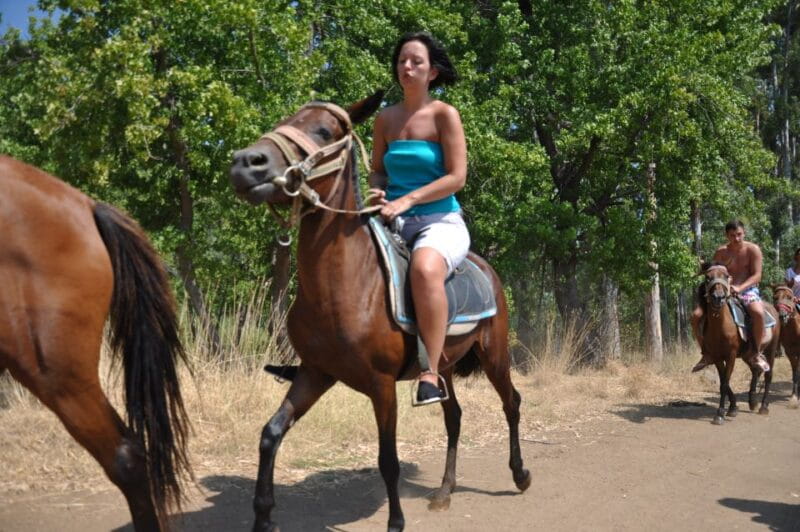 Kusadasi Horse Safari - Who This Experience Is Perfect For