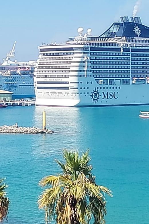 Kusadasi: Kusadasi City Tour - Exploring Kusadasi: A Practical Perspective