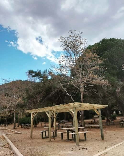 Kusadasi National Park Shinrin Yoku Tour - Logistics and Practical Tips