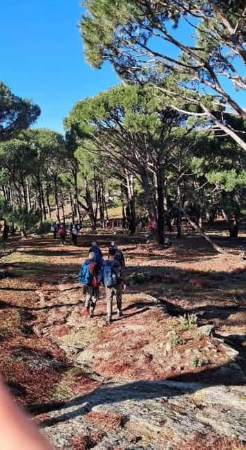 Kusadasi National Park Shinrin Yoku Tour - Who Will Love This Tour?