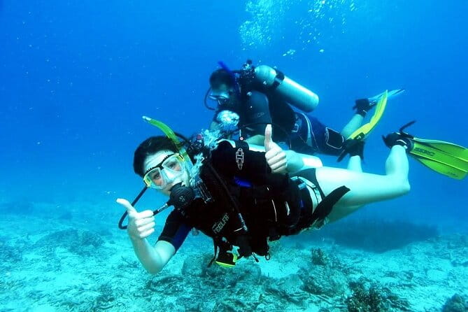 Kusadasi Scuba Diving - Exploring Kusadasi’s Underwater World: A Practical Review