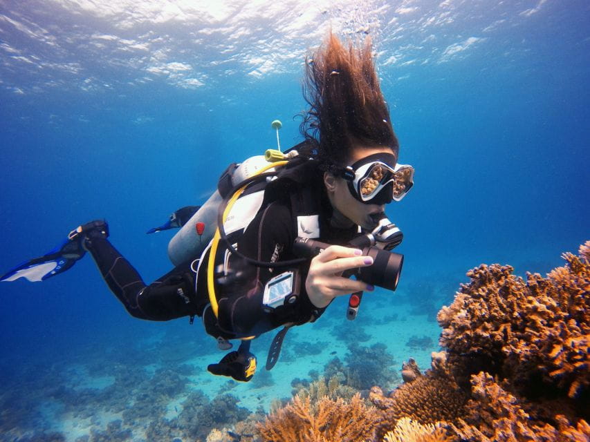 Kusadasi: Scuba Diving for Beginner or Experienced W/ Lunch - Professional Diving Instruction and Assistance