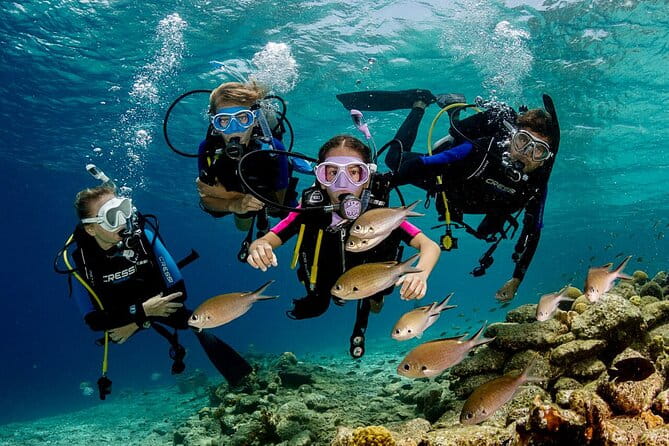 Kusadasi Scuba Diving Tour By Local Experts - Who Will Love This Tour?