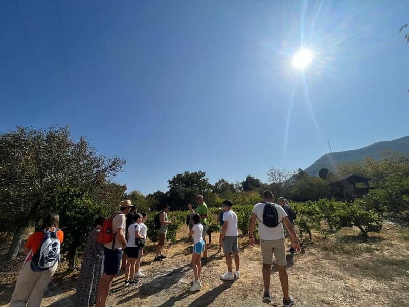 Kusadasi Village Tour & Traditional Food Tasting - The Real Value of This Tour