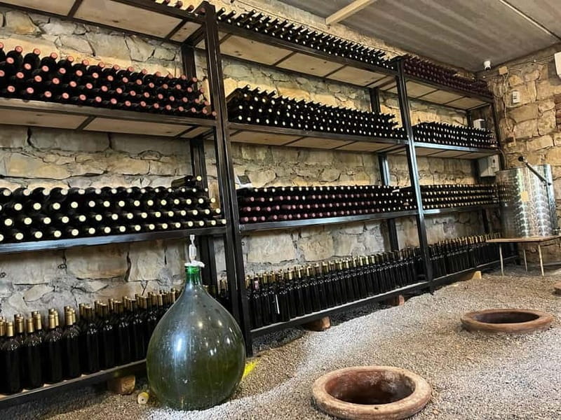 Kutaisi: Wine Tasting in Family Winery shop - What to Expect During Your Tasting