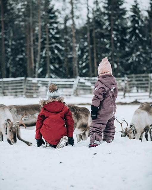 Kuusamo: Reindeer Sleigh Ride and Farm Visit - Who It’s Best For