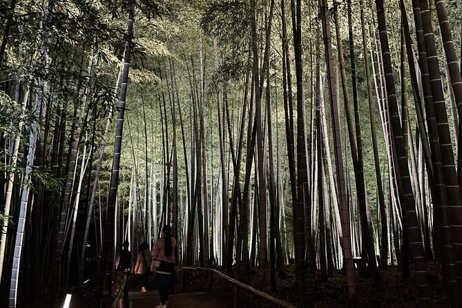 Kyoto 1 Day Golden Route Bus Tour - Customer Feedback