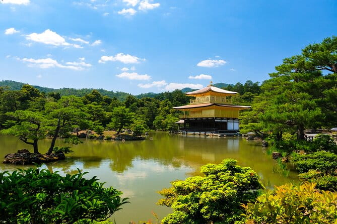 Kyoto 6hr Private Tour With Licensed Guide & Bus (Max 15 Pax) - Key Points