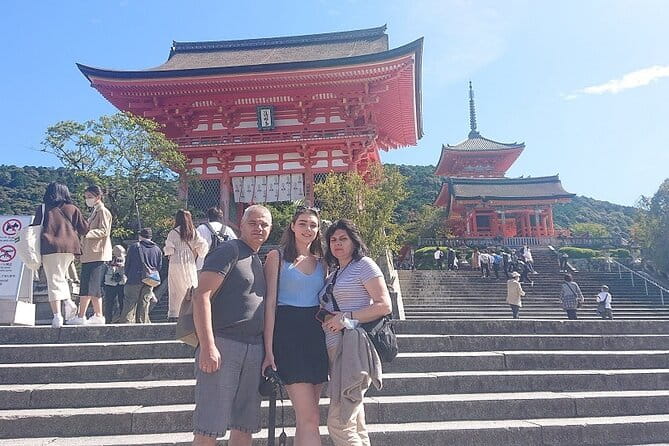 Kyoto 8hr Private Tour With Government-Licensed Guide - Accessibility and Participation