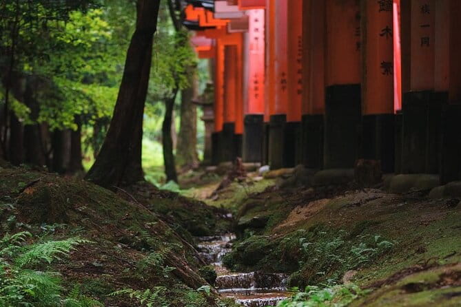 Kyoto and Nara Day Tour From Osaka and Kyoto - Accessibility Features