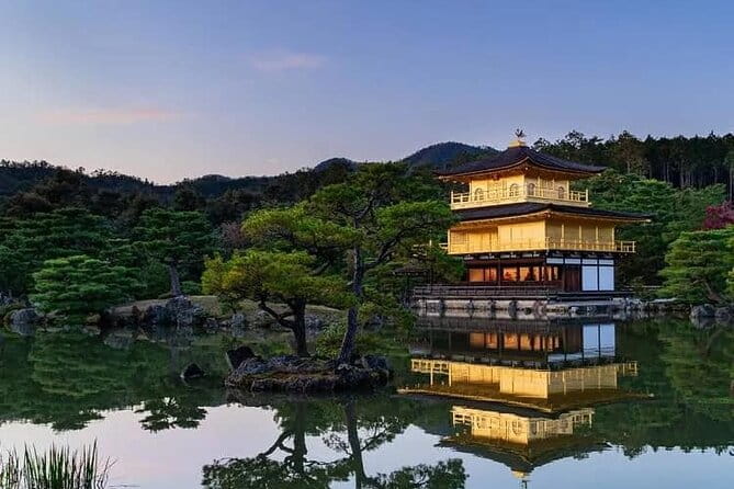 Kyoto and Nara Day Tour From Osaka and Kyoto - Traveler Reviews and Feedback