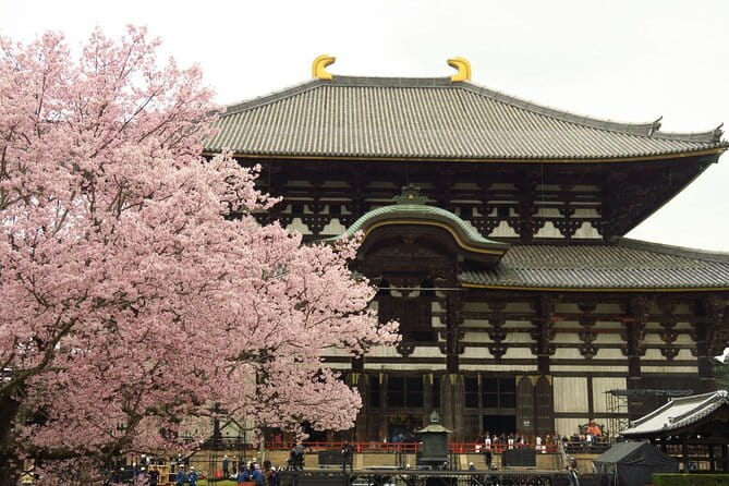 Kyoto and Nara Deer Sightseeing Day Trip From Osaka - Key Points