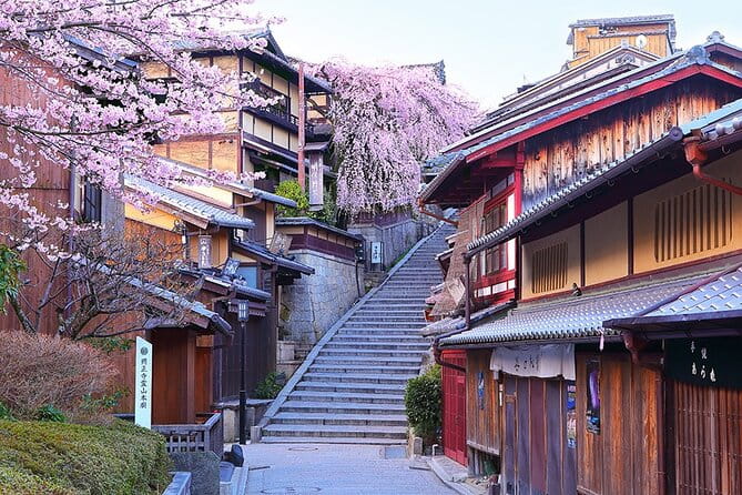 Kyoto and Nara Deer Sightseeing Day Trip From Osaka - Interacting With the Deer in Nara