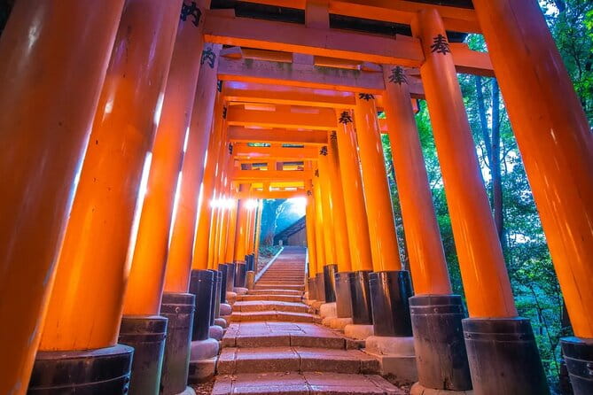 Kyoto and Nara Park One Day Tour With Lunch From Osaka/Kyoto - Accessibility Features