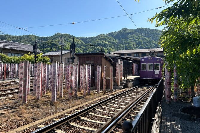KYOTO and NARA Private Guided Tour With FREE ENTRANCE FEE - Savor Delicious Lunch Options