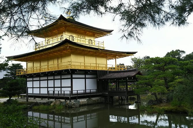 Kyoto and Osaka Splendid Two-Day Walking Tour - What to Expect and Tips for the Tour