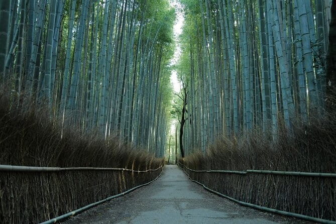 Kyoto Arashiyama Bamboo Forest Hidden Hiking Tour - Key Points