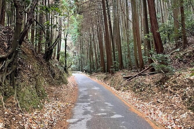 Kyoto Arashiyama Bamboo Forest Hidden Hiking Tour - Inclusions