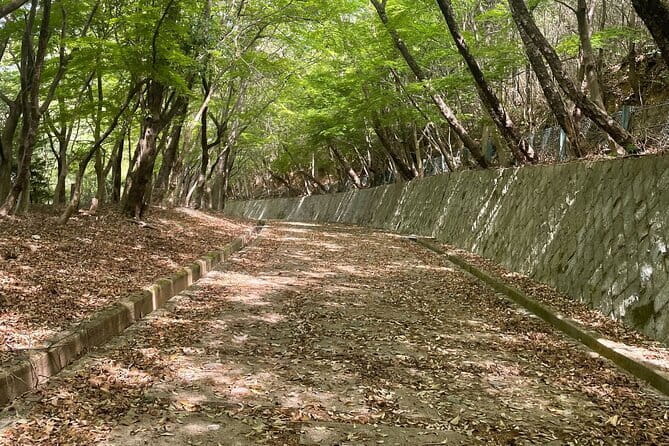 Kyoto Arashiyama Bamboo Forest Hidden Hiking Tour - Meeting and Pickup