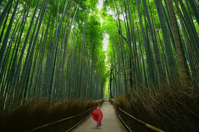 Kyoto: Arashiyama Bamboo, Temple, Matcha, Monkeys & Secret Spots - Arashiyama Bamboo Forest