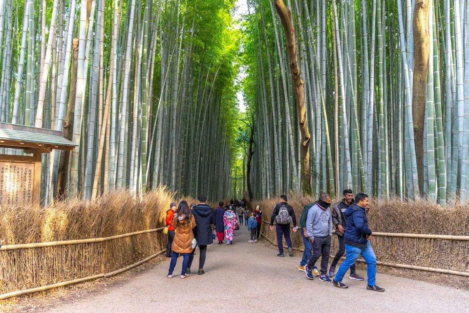 Kyoto: Arashiyama Forest Trek With Authentic Zen Experience - Zen Experience and Cultural Activities
