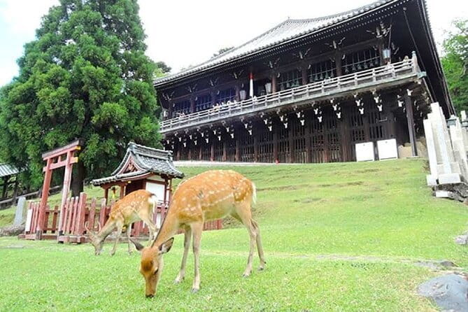 Kyoto Arashiyama Fushimi Inari Taisha Shrine and Nara Park Tour - Highlights of Kyoto Arashiyama