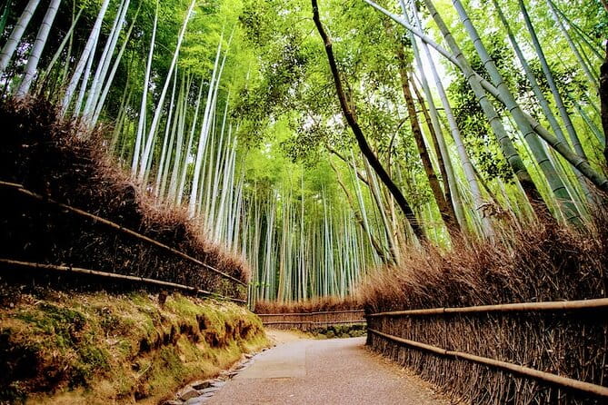 Kyoto Arashiyama Walking Tour - Bamboo, Monkeys, Temple & Secrets - Discovering Tenryuji Temple