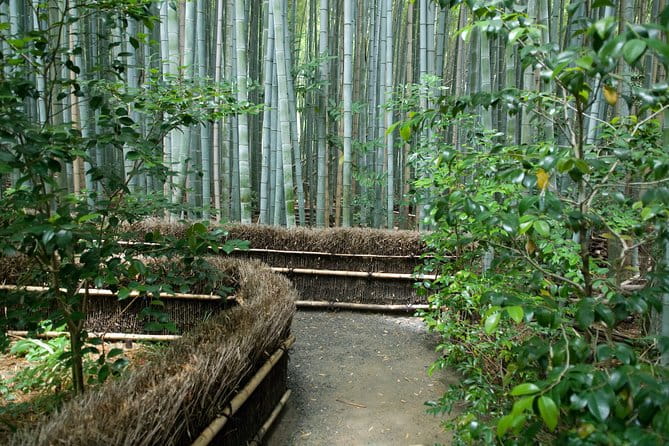 Kyoto Bamboo Forest Electric Bike Tour - Meeting and Logistics