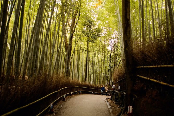 Kyoto Bamboo Forest Electric Bike Tour - Tour Inclusions