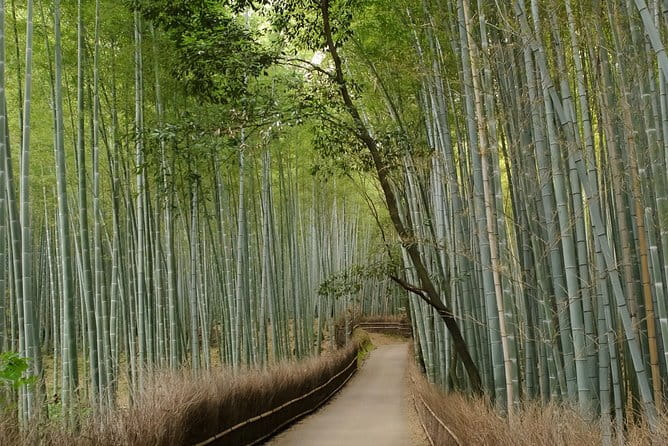 Kyoto Bamboo Forest Electric Bike Tour - Exploring Kyotos Cultural Gems