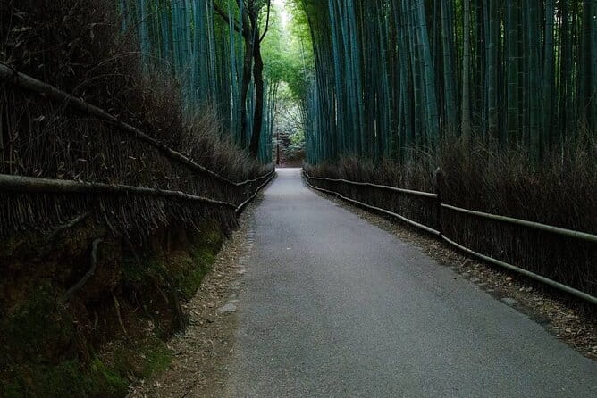 Kyoto Bamboo Forest & Golden Pavilion Bike Tour - Tour Experience