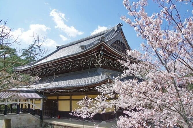 Kyoto Cherry Blossom With Miyako Odori 1 Day Walking Tour - Tour Participation Details
