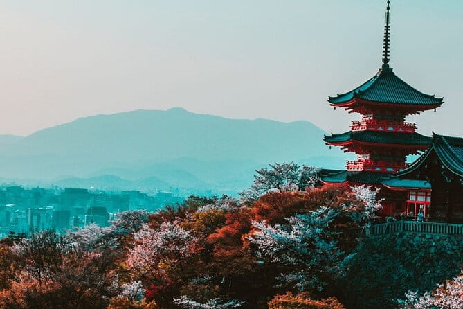 Kyoto : Custom Private Walking Tour With a Guide (Private Tour) - Key Points