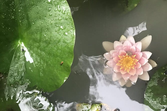 Kyoto: Descending Arashiyama (Private) - Meeting the Professional Guide