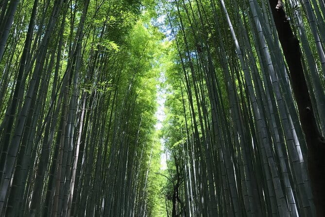Kyoto: Discover Every Bit of Ginkakuji Temple in 60 Minutes - Frequently Asked Questions