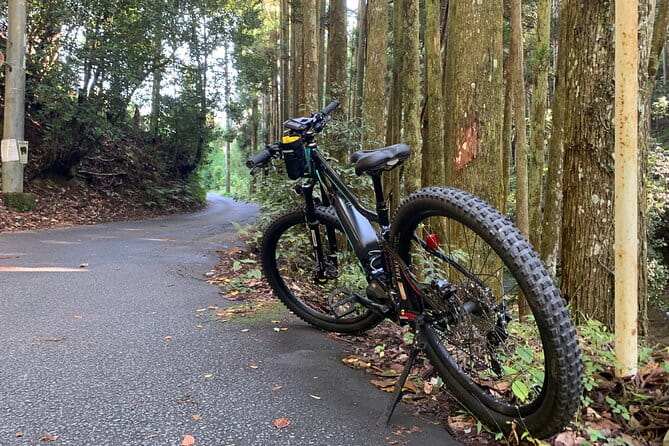 Kyoto E-Bike Rent (Powerful & Long Model) - Health and Accessibility