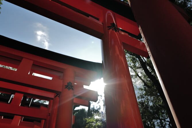 Kyoto Early Morning Tour With English-Speaking Guide - Customer Feedback and Ratings