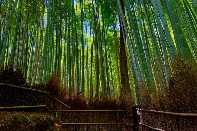 Kyoto Early Morning Walking Tour: Nature & History - Discovering Tenryu-ji Temple