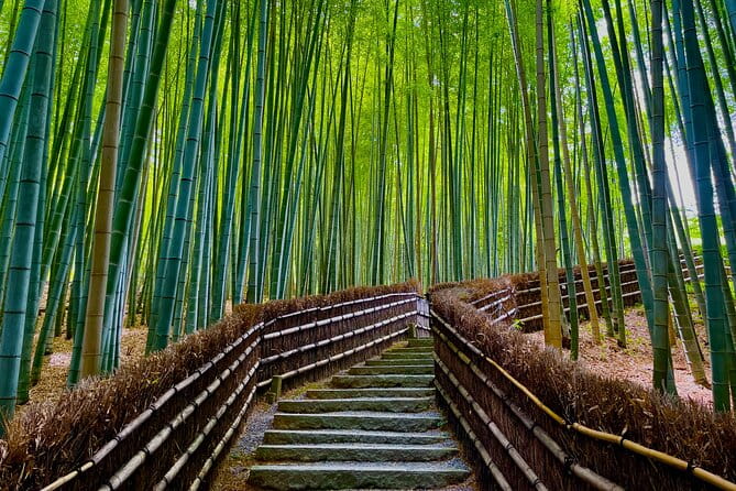 Kyoto Early Morning Walking Tour: Nature & History - Navigating the Tour Logistics