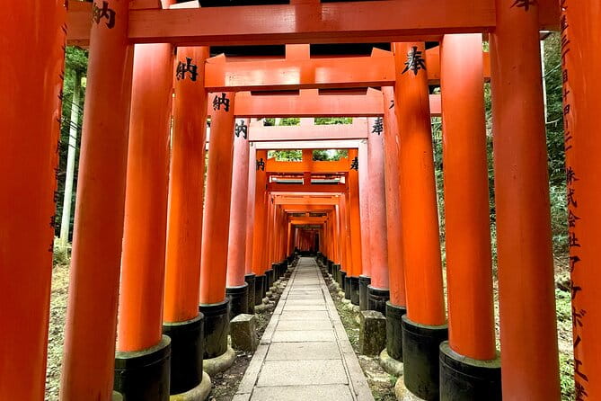 Kyoto Early Morning Walking Tour: Nature & History - Highlights of the Tour Itinerary